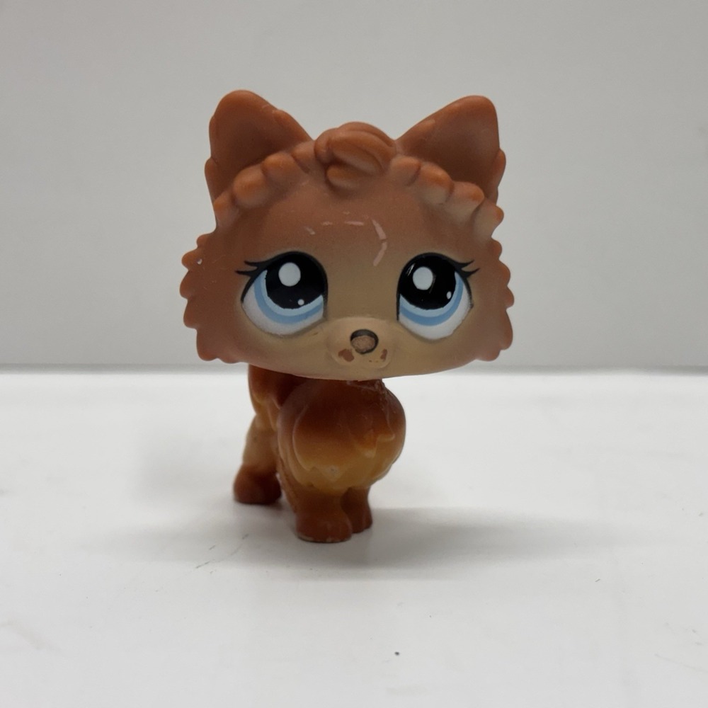 Littlest Pet Shop Authentic # 1599 Brown Pomeranian Blue Eyes